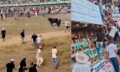 Evento previo a las corralejas en Caucasia (Antioquia) terminó con 16 heridos: Gobernac