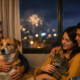 Recomendaciones para proteger a perros y gatos del ruido de la pólvora en Bogotá