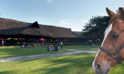 Se pronunció el exclusivo restaurante de Palmira donde murió una niña de cuatro años tras caer de un caballo: 'Estamos colaborando'