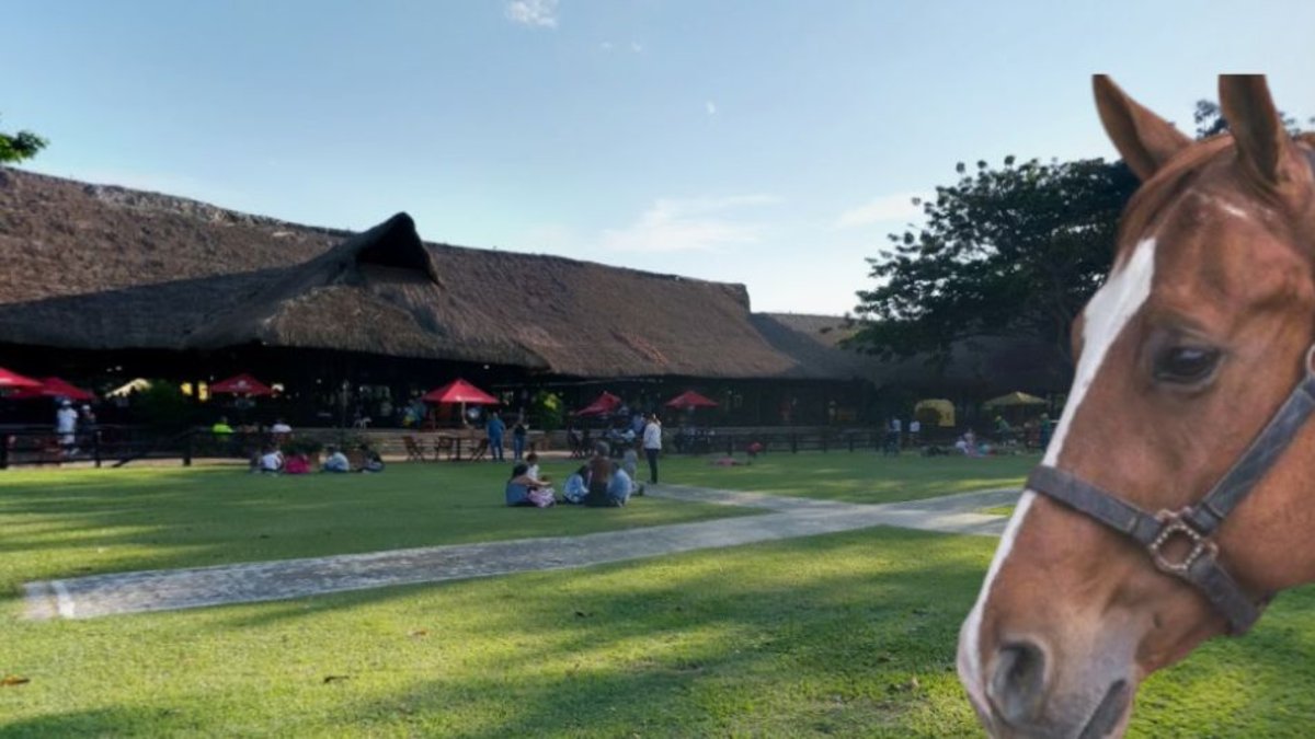 Se pronunció el exclusivo restaurante de Palmira donde murió una niña de cuatro años tras caer de un caballo: 'Estamos colaborando'