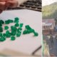 protesta de guaqueros termina en saqueos y obliga a decretar toque de queda en San Pablo de Borbur