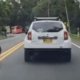 En video registraron el momento en que un perro habría sido abandonado en la vía Bogotá