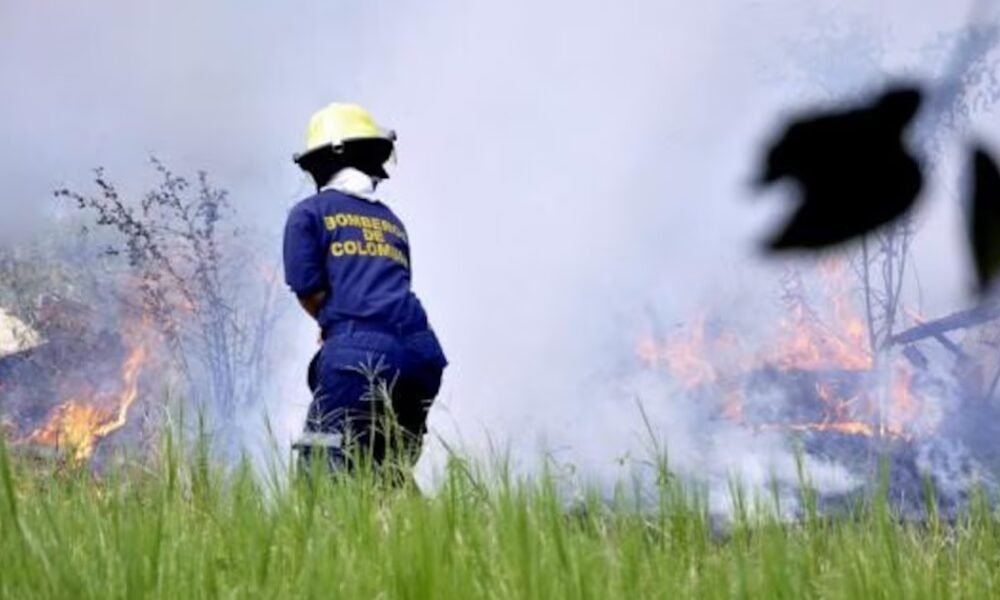 Alertas del IDEAM por riesgo de incendios forestales avanzan en la Costa Caribe este diciembre