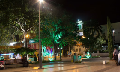 Así es como se habría adjudicado polémico contrato para el alumbrado navideño de Bucaramanga: contratista no tenía la experiencia