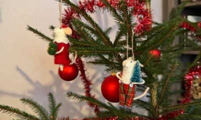 Cómo tomar las mejores fotos navideñas iPhone – Letem svetem Applem