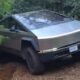 Cybertruck de Tesla se aventura en caminos forestales de Zacatlán - e-consulta.com