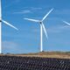 Ecopetrol autorizó inversión para parque eólico Windpeshi en La Guajira, primer proyecto 100 % desarrollado por la empresa