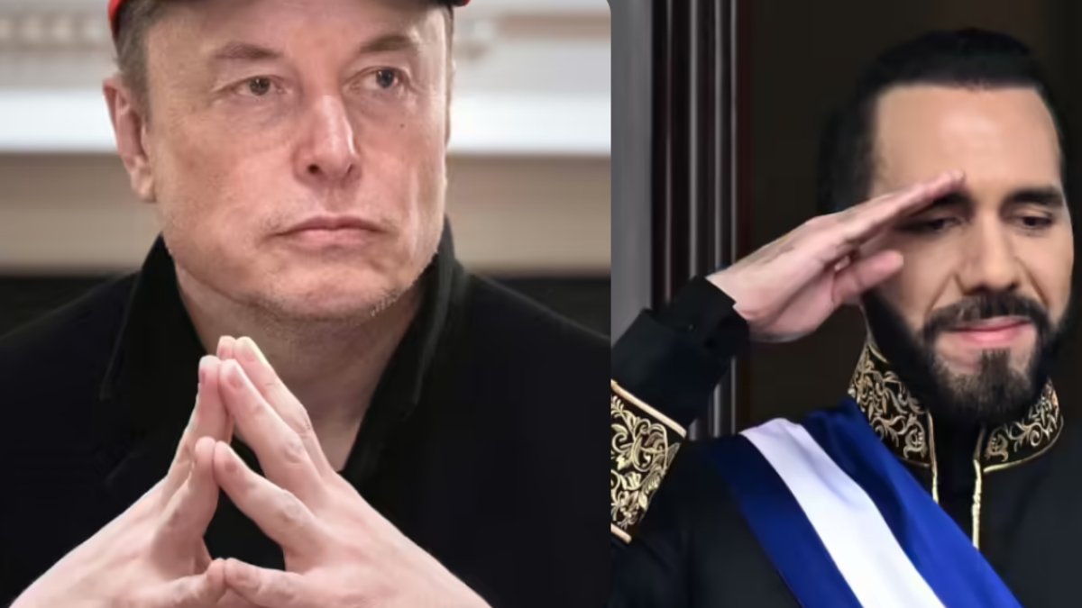 Elon Musk y Nayib Bukele firman acuerdo para Grok de clases en El Salvador: educación con inteligencia artificial