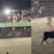 Identifican a Ubaldo Montalvo, hombre que murió tras embestida de un toro en corralejas de Chimá, Córdoba