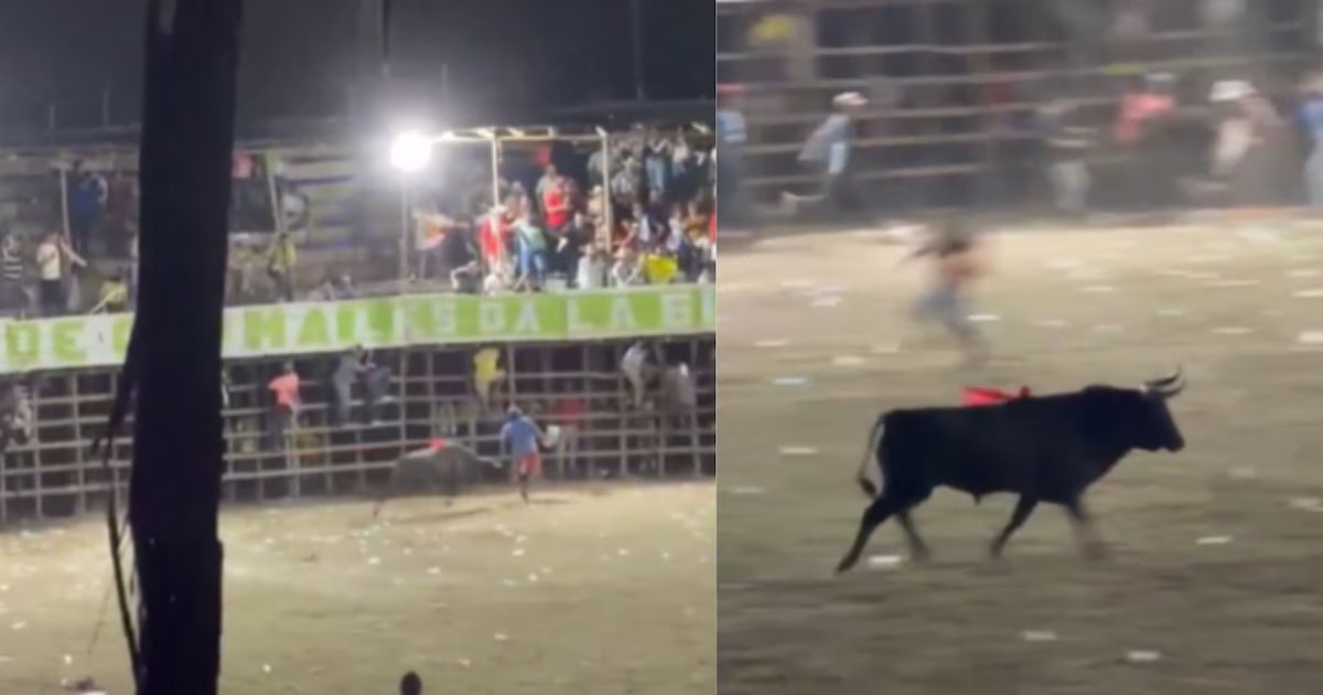 Identifican a Ubaldo Montalvo, hombre que murió tras embestida de un toro en corralejas de Chimá, Córdoba