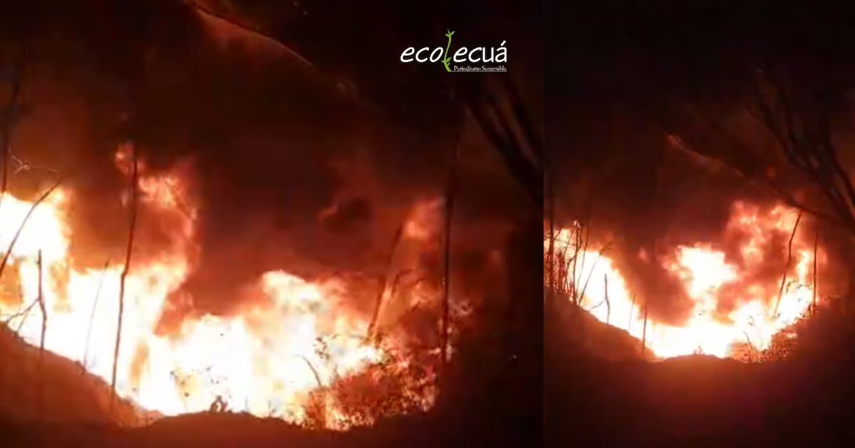 Incendio por diésel en líneas de CENIT provoca emergencia ambiental en Puente Nacional, Santander
