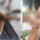 Indignación por asesinato de puma en Guainía: hombres se tomaron fotos con el cuerpo del animal