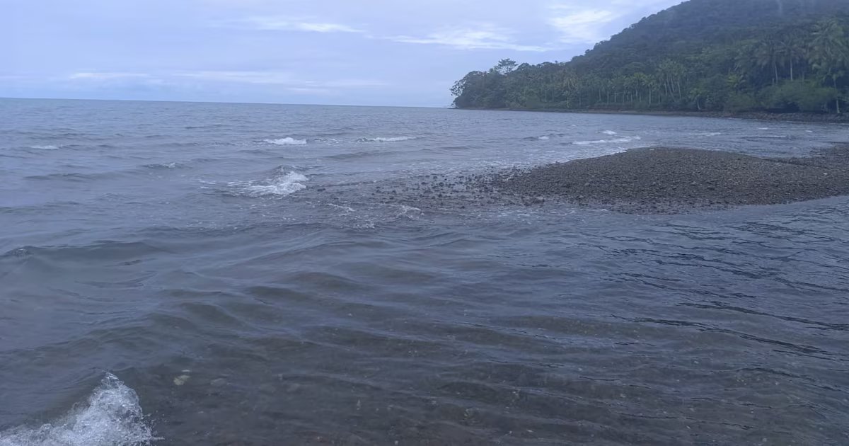 La Dimar y la Ungrd confirmaron que no hay riesgo de tsunami para la costa del Pacífico colombiano por terremoto de 7,6 grados en Japón