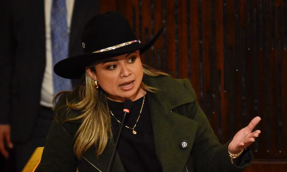 Lina Garrido dijo que debería haber una norma para retirar de las elecciones a quienes a tres meses de las elecciones no superen 1% en las encuestas: “No está haciendo política”