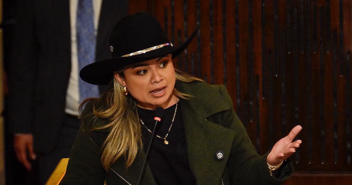 Lina Garrido dijo que debería haber una norma para retirar de las elecciones a quienes a tres meses de las elecciones no superen 1% en las encuestas: “No está haciendo política”