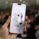 Los usuarios del iPhone 17 Pro detectan un ruido extraño en los altavoces al cargar el móvil