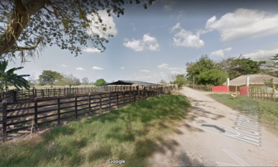 Negocio entre el Gobierno y Álvaro Uribe para comprar terrenos de El Ubérrimo está parado: esta es la razón