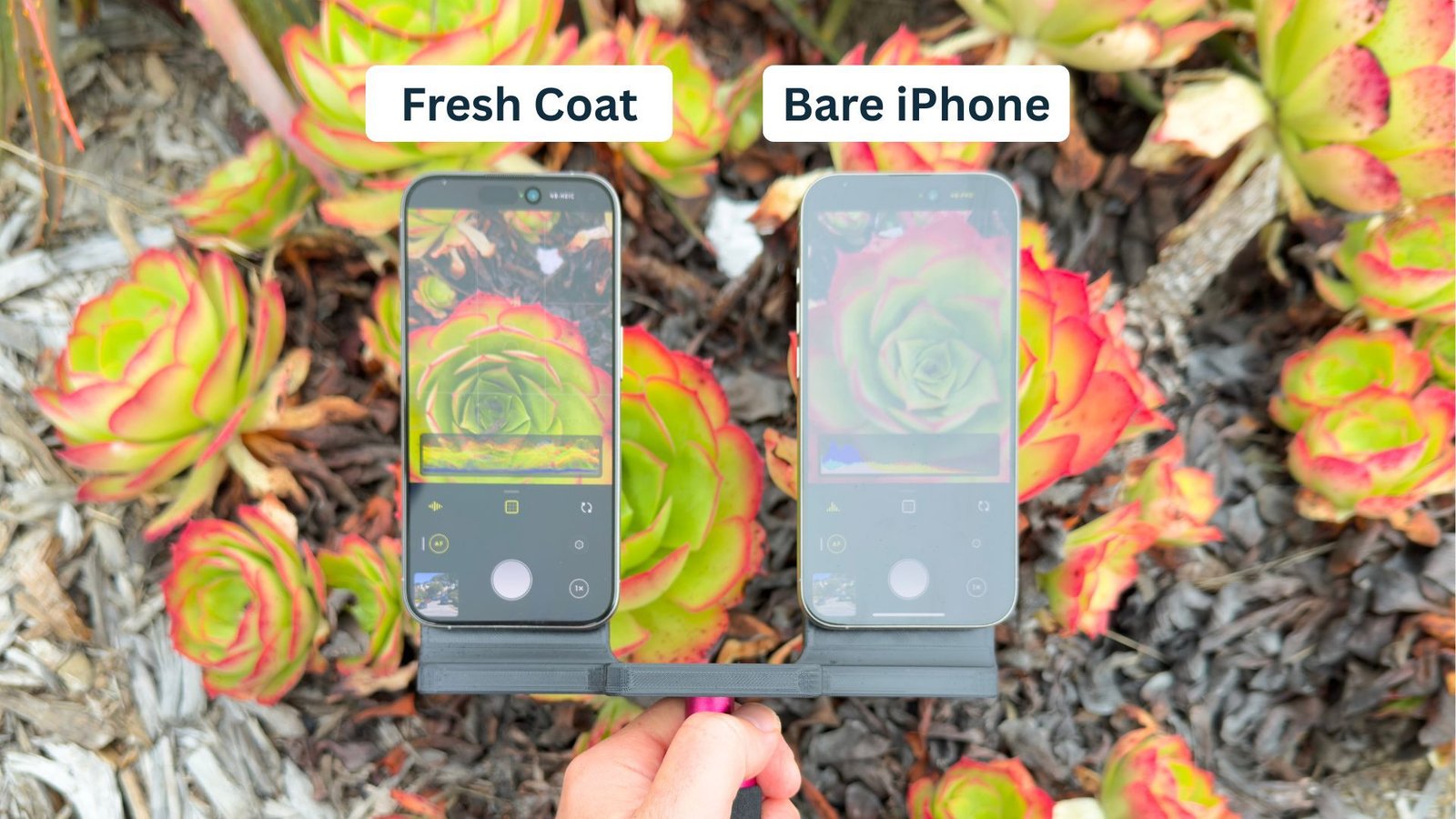 Sorteo de MacRumors: gane un iPhone 17 y un protector de pantalla Fresh Coat de Astropad