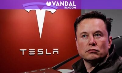 Tesla se desploma: por segundo año consecutivo la empresa se hunde en ventas, ganando un 40% menos, y culpan a Elon Musk - Vandal