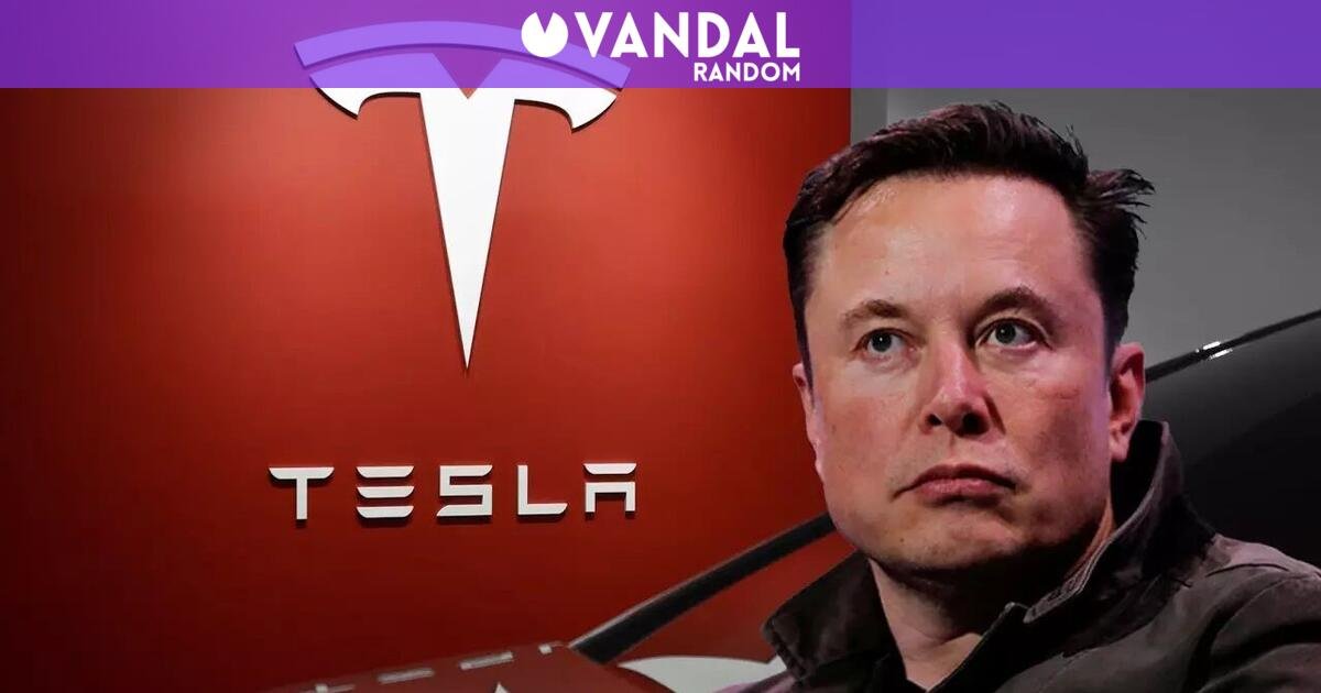 Tesla se desploma: por segundo año consecutivo la empresa se hunde en ventas, ganando un 40% menos, y culpan a Elon Musk - Vandal