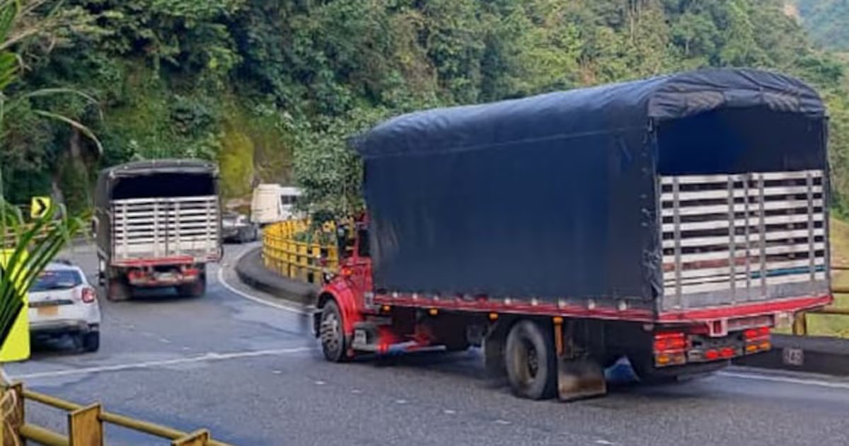Vía Bogotá–Villavicencio: este es el plan especial para la movilidad en Navidad
