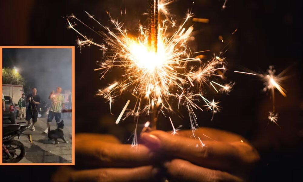 Video| En medio de la celebración, perro tomó un volador encendido y terminó afectando a un hincha de Nacional