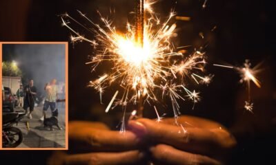 Video| En medio de la celebración, perro tomó un volador encendido y terminó afectando a un hincha de Nacional