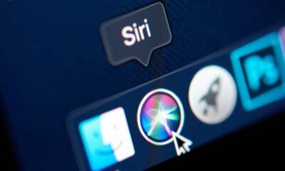 Apple usará Google para mejorar Siri y añadir funciones de IA al iPhone - El Mundo