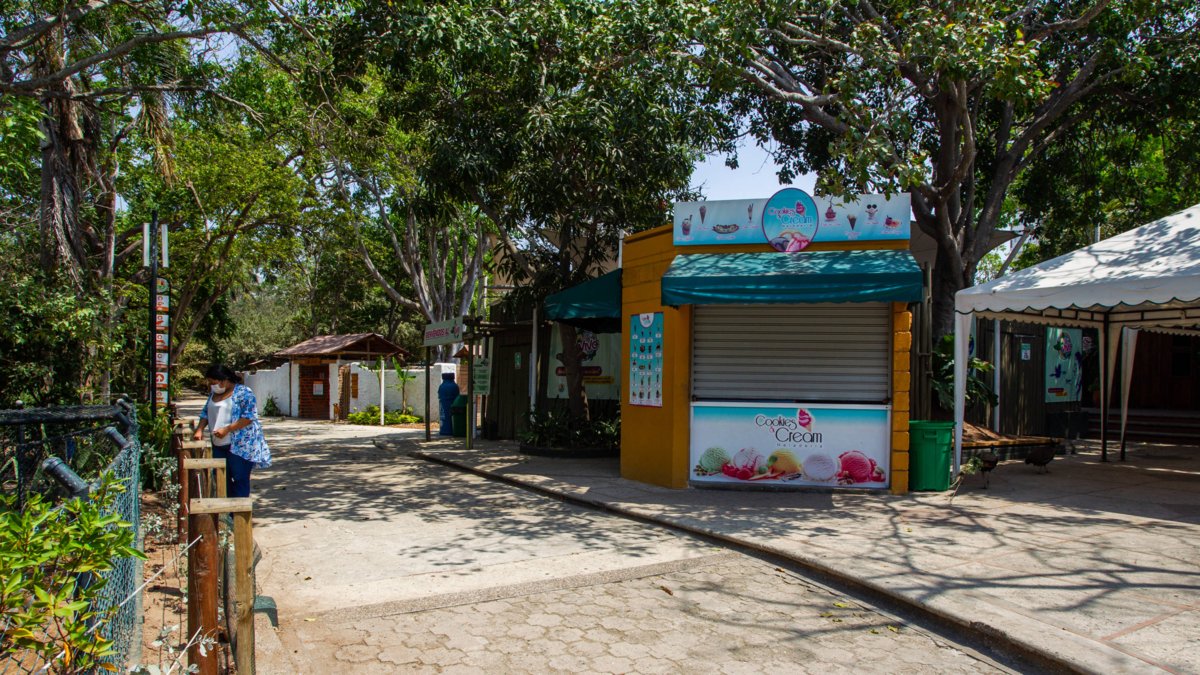 Zoológico de Barranquilla ajusta tarifas y abre debate de ciudad sobre su sostenibilidad, el bienestar animal y la urgencia de un traslado estructural