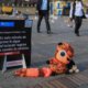 más de 33 años de prisión a depredador sexual del barrio Olaya Herrera de Cartagena