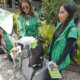 Prepárese para la primera gran jornada de adopción de perros y gatos de 2026 en el Centro Comercial El Edén