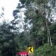 Ejército neutraliza ofensiva explosiva del ELN en Santa Rosa, sur de Bolívar
