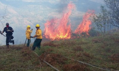 delegación departamental hace llamado urgente