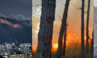 incendio forestal en el cerro Quitasol está activo desde hace tres días