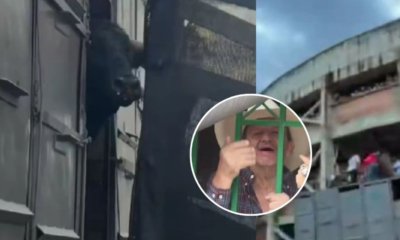 Manifestantes bloquearon entrada a plaza de toros en Barbosa, Santander, y encararon a organizadores por maltrato animal: 'Asesinos'