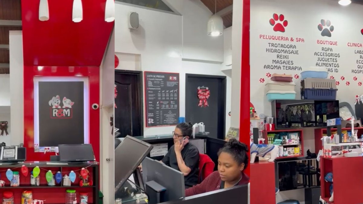 los ajustes de una clínica veterinaria en Bogotá tras el alza para este año
