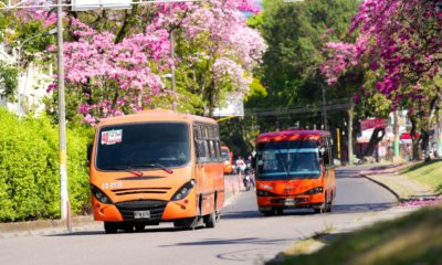 el pasaje subió 400 pesos y el alza quedó 10 puntos por debajo del salario mínimo en Colombia