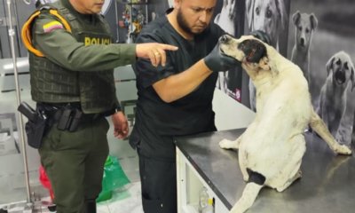 el caso de maltrato que ha causado indignación en Barrancabermeja