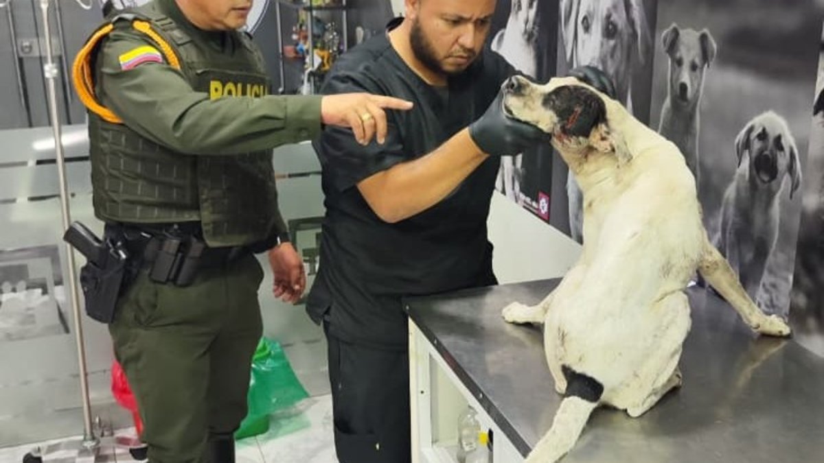 el caso de maltrato que ha causado indignación en Barrancabermeja