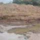 el río Bogotá se seca, imágenes revelan el estado actual del afluente clave para la región y Cundinamarca
