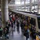 definen hoja de Ruta hacia la expansión ya ser autosostenibles en 10 años