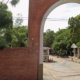 Estas serían las 48 piezas que estarían circulando por la ciudad con objetivo criminal.