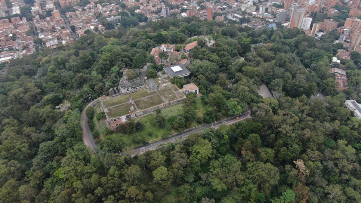 así Medellín le ha puesto el freno a la destrucción de sus cerros tutelares