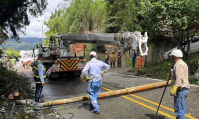 Plan Retorno en Cali | Despejen la vía hacia Buenaventura: retiren árbol y poste que bloquearon el paso en el corregimiento El Saladito