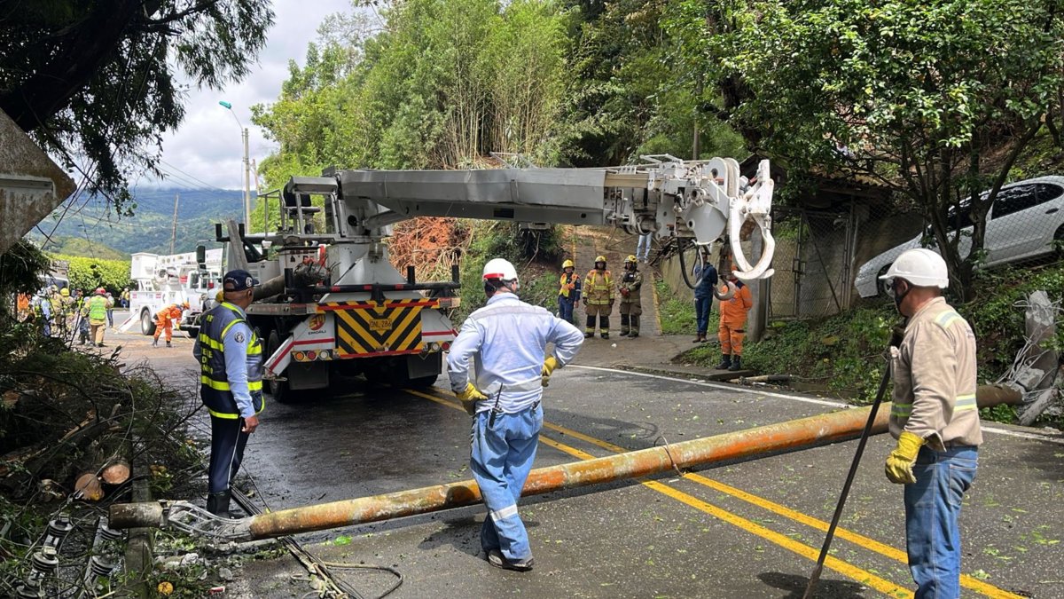 Plan Retorno en Cali | Despejen la vía hacia Buenaventura: retiren árbol y poste que bloquearon el paso en el corregimiento El Saladito