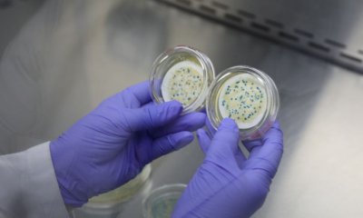 así monitorean la resistencia a antibióticos en el río Sumapaz