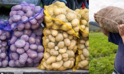 conozca fechas y horarios para comprarle barato a los campesinos