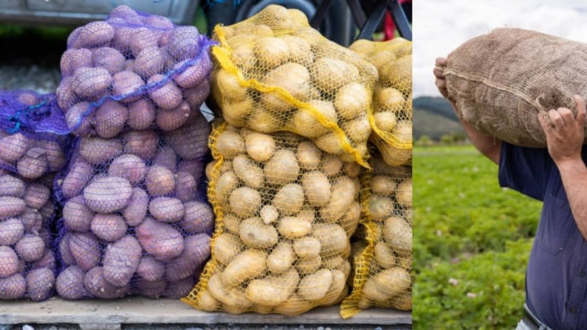 conozca fechas y horarios para comprarle barato a los campesinos