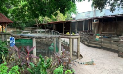 Predio de Argos surge como alternativa real para reubicar el Zoológico de Barranquilla y articularlo al gran eje ambiental del río Magdalena.