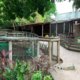 Predio de Argos surge como alternativa real para reubicar el Zoológico de Barranquilla y articularlo al gran eje ambiental del río Magdalena.